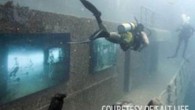 Courtesy of Salt Life Coming To A Wreck Near You Originally on display in Barbados, the exhibit will be moved to the USNS Vandenberg. Salt Life is partnering with world-renowned artist Andreas Franke and The Sinking World to bring an […]