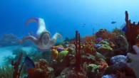 Discovery Channel has released the first promo video for Shark Week 2016, which means the countdown has officially begun, folks. The weeklong binge on all things shark starts June 26, and we can’t help but wonder what the video lineup […]