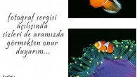   Sevgili Dostlar, 6 Mayıs 2016 tarihinde, Basaf’ın evsahipliğiyle Balıkesir Ulusal Fotoğraf Müzesi’nde açılacak “Sualtından Üçlemeler” adlı sergime sizleri bekliyorum. 6 Mayıs Cuma akşamı yapılacak açılış kokteylinde görüşebilmek dileğiyle.   Alptekin Baloğlu www.denizinsirlari.org e-mail: info@denizinsirlari.org Tel: 0532 3139704