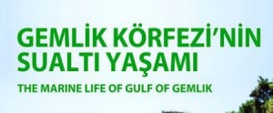 Bursa Valisi Sayın Münir Karaloğlu’nun destekleriyle gerçekleştirdiğimiz “GEMLİK KÖRFEZİ’NİN SUALTI