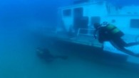 Beylik Çeşmesi Yapay Resif Projesi kapsamında geçtiğimiz hafta sonu denizin 35 metre derinliğine batırılan SGH-51 botuna ilk dalış gerçekleşti. İzmir’in Dikili İlçesi’nde, dalış turizmini geliştirmek ve su altı cennetine ilgi çekmek için hazırlanan Beylik Çeşmesi Yapay Resif Projesi kapsamında geçtiğimiz […]