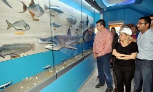 Adana Büyükşehir Belediyesi, 5 Haziran Dünya Çevre Günü etkinlikleri kapsamında