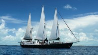 Less than 50 miles from Florida is a surprisingly diverse diver’s paradise. The Bahamas, a chain of 700 islands and cays stretching for almost 600 miles, is well-known for its beautiful white sand beaches and impossibly turquoise waters. Each island […]