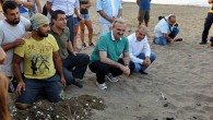 Vali Karaoğlu, OHAL Valisi olduğunu hatırlatarak, Caretta Carettalar için OHAL koruması ilan etti Antalya Valisi Münir Karaoğlu, OHAL yetkilerini Caretta Carettalar için de kullanacağını belirtti. “Caretta Carettaların da valisiyim” diyen Karaoğlu, “Şimdi OHAL yetkimiz de var, insan dışındaki canlıların da yaşam […]