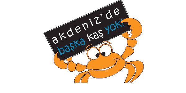 Amaç Projenin öncelikle amacı hemen hemen tüm varlığı denizle özdeş,