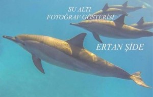 Ertan Şide