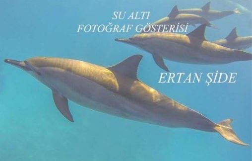 Ertan Şide