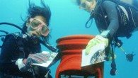 The mailbox receive anywhere between 1,000 to 1,500 mails each year. The mails are retrieved by employees of the Yamatani Dive Shop, who dive and collect. Interestingly, the shop also sells water-resistant postcards and oil-based markers for those who like […]