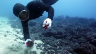 SEOUL, Nov. 1 (Yonhap) — Women divers on South Korea’s resort island of Jeju, or “haenyeo,” are likely to be listed as an Intangible Cultural Heritage of Humanity of UNESCO, the Cultural Heritage Administration said. The South Korean government agency […]