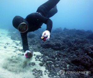 SEOUL, Nov. 1 (Yonhap) — Women divers on South Korea’s