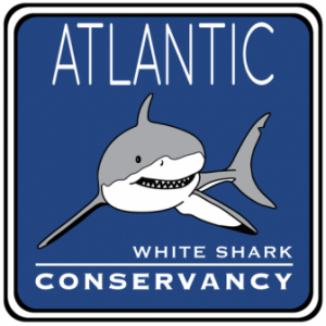 CapeCodToday.com welcomes thoughtful comments and the varied opinions of our
