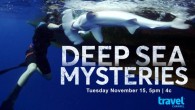 Paul J. Clerkin is a graduate researcher at the Pacific Shark Research Center of Moss Landing Marine Laboratories in Moss Landing, California. Clerkin specializes in rare and deep-sea chondrichthyans and is focusing on new species descriptions and life histories of […]