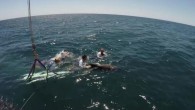GOLD COAST, Australia, Nov. 29 (UPI) — Rescuers at Australia’s Sea World released a pregnant dolphin into the ocean after it was found hooked to a baited drumline. Sea World Gold Coast said the dolphin was found Saturday hooked on […]
