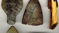 George send Bada 48 frozen bowhead eyeballs, each about the size of a billiard ball, that he and other biologists had saved from whale hunts in Barrow, Gambell, Wainwright, Point Hope and Savoonga from 1978 and 1997. George knew the […]