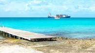 Significant damage was done to a coral reef in George Town harbor early Friday after a 328-foot cargo vessel struck the shallow area with its hull, Department of Environment officials said. Department Deputy Director Scott Slaybaugh said the accident happened […]