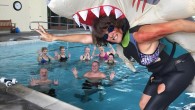 Just talking about getting in the water with sharks makes Maria Korcsmaros’ heart race. Her 16-year-old son, Sam, always has wanted to swim with sharks. And the mother-son duo have been inseparable of late, Sam swimming with her in races […]