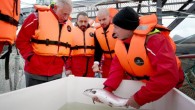 Another incident saw more than 60,000 salmon killed by hydrogen peroxide being used to treat them for amoebic gill disease at Marine Harvest’s fish farm in Soay Sound, off the Isle of Harris, in September. The deaths led to thousands […]