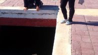 İzmir’de sahile çıkan ve plajda gezinen 2 metre uzunluğundaki sevimli Akdeniz foku, tatilcileri şaşırttı. Şezlonglarda yatan bazı tatilcilerin özçekim yaptığı fok, ilgi topladı. ÖNCE ŞEZLONGLARDA YATTI, ARDINDAN SAHİLDE YÜZDÜ Menderes’in Özdere Mahallesi Çukuraltı mevkiindeki Gözde tatil sitesi sakinleri, sabah sitenin […]