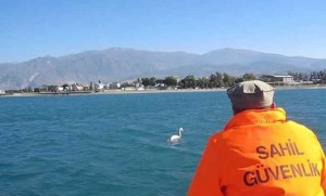 İskenderun Teknik Üniversitesi (İSTE) Deniz Bilimleri ve Teknoloji Fakültesi Öğretim
