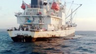 İzmir’in Çeşme ilçesi açıkları Pırasa adası yakınında “M/V Lady Tuna” adlı geminin kayalıklarına çarparak, karaya oturması sırasında gövdesinde oluşan yırtıktan denize sızan yakıt, geniş bir alana yayılarak, sahile kadar ulaştı. İzmir’in Çeşme ilçesi açıkları ve Pırasa adası yakınında “M/V Lady […]