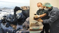 İzmit Körfezi’nde geçtiğimiz hafta bir limanda tonlarca akaryakıtın denize dağılmasıyla yaşanan çevre felaketi sonrasında yakıta ve zifte bulanan deniz kuşları Darıca Hayvanat Bahçesi’nde tedavi altına alındı. Tonlarca akaryakıtın denize bulaşmasıyla yaşanan çevre felaketi sonrasında deniz hayvanları da katrana bulanmıştı. Gönüllü vatandaşlar ve Orman […]