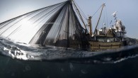 Fikir, planlama, senaryo, fonlara başvurma çekim, prodüksiyon, post prodüksiyon, fonları alamama, kan, ter, gözyaşı, umut, korku, gurur, 3 koca yıl sonunda timeline’ın son hali… İstanbul Bağımsız Film Festivali IF’te BLUEFISH gösterim tarihleri ve saatleri, buna yine IF kapsamında SOHO House […]