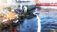 Yakıt toplama tankından sızan petrol son 15 yılın en büyük çevre felaketine neden oldu. 400 personel ile denize yayılan 100 tondan fazla fuel oili temizlemeye çalışırken Marmara Denizi’nin canlı yaşamı zarar gördü. Kocaeli’ndeki bir yakıt toplama tankından sızan tonlarca petrolün […]