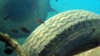 Tekstil ürünlerinde ve tekerleklerde bulunan mikroplastikler aşınarak denizlerdeki kirliliğin yüzde 31’ini oluşturuyor. Dünya Doğa ve Doğal Kaynakları Koruma Birliği (IUCN) tarafından yapılan bir araştırma deniz kirliliğinin sebeplerine ilişkin çarpıcı sonuçlar ortaya koydu. Denizlere fazla miktarda katı atık (çöp poşeti vb.) […]