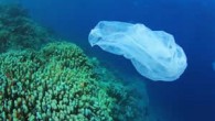 Nature Ecology and Evolution isimli bir dergide yayınlanan rapora göre çöpler okyanusların en derin noktası olan Mariana Çukuru’nda dahi birikiyor. Bütün bunların üstüne Alfred Wegener Enstitüsü (AWI), Helmholtz Kutuplar ve Okyanuslar araştırma grubundan araştırmacılar benzer bir şekilde kirlenmenin kuzey kutbunun […]