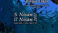 Birgül Erken