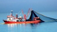 Düzce’de ‘Karadeniz’de nesli tükenmek üzere olan canlı türleri, sebepleri ve alınacak önlemler’ konulu panel düzenlendi. Türkiye Erozyonla Mücadele, Ağaçlandırma ve Doğal Varlıkları Koruma Vakfı (TEMA) Karadeniz Ereğli Sorumlusu Nilgün Durak, Karadeniz’deki 59 balık türünün tükendiğine dikkat çekerek acilen önlem alınması […]