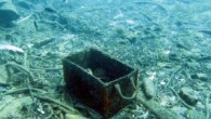 Bodrum’da bu yıl üçüncüsü gerçekleştirilen deniz dibi temizliği projesi kapsamında, Ortakent Yahşi sahili temizlendi. Koydan dalgıçlar tarafından yaklaşık 520 kilo atık toplandı. Bodrum Belediyesi tarafından ‘Denize en çok mavi yakışır’ sloganıyla sadece karada değil, denizde de çevreyi temiz tutmanın ne […]