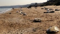 İstanbul Büyükşehir Belediyesi ekipleri, Kilyos sahiline vuran atıkları temizleme çalışmalarına devam ediyor. Belediyeden yapılan açıklamaya göre, 6 Mart’tan itibaren yürütülen temizleme çalışmalarında yaklaşık 33 ton ağırlığında 5 bin poşet atık toplandı. Büyük oranda temizlenen bölgedeki çalışmalarda Deniz Hizmetleri Müdürlüğü, İSTAÇ […]