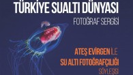 Ateş Evirgen