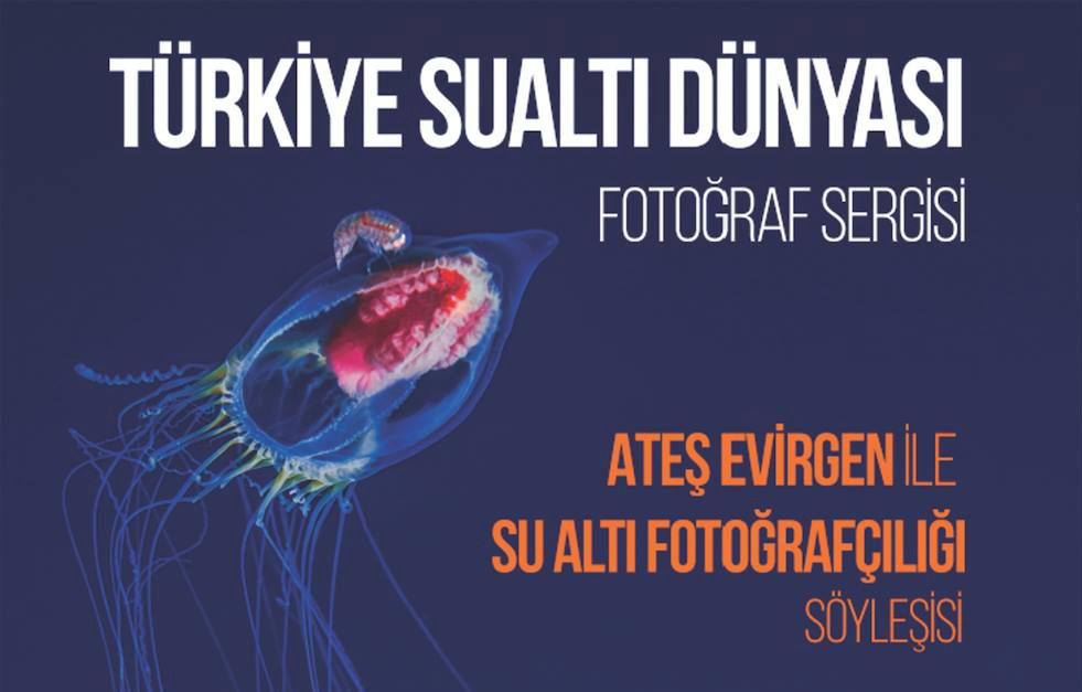Ateş Evirgen