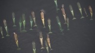 The giant mammals are extremely vulnerable to changes in the ecosystem, making their health a good barometer for the state of the environment. They stood on the top bridge of the cruise ship National Geographic Explorer, peering through binoculars at […]