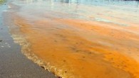 Marmara Denizi’nin Tekirdağ sahilinde plankton (denizde bulunan, mikroskopla görülebilen tek hücreli canlı) çoğalması, deniz suyu renginin yer yer turuncu olmasına yol açtı. Çanakkale Onsekiz Mart Üniversitesi (ÇOMÜ) Deniz Bilimleri ve Teknolojisi Fakültesi Öğretim Üyesi Prof. Dr. Sezginer Tunçer, AA muhabirine […]