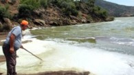 Türkiye’nin en önemli sulak alanlarından biri olan Aydın-Muğla il sınırındaki ünlü Bafa Gölü’nde su sirkülasyonunu sağlayan Menderes Nehri’nin önünün kapatılması ve balık üretme çiftliklerinin atıklarının birikmesi nedeniyle oluşan kirlilik tehlike boyutuna ulaştı. Bir türlü önlenemeyen kirlilik nedeniyle Bafa Gölü’nde köpürmeler […]