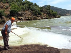 Türkiye’nin en önemli sulak alanlarından biri olan Aydın-Muğla il sınırındaki