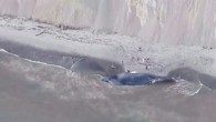 ik uzunluğuyla California’nın Marine County sahiline vurmuş durumda. Uzmanlar, balinanın bir geminin çarpması sonucu öldüğünü ve cesedinin sularla kıyıya kadar taşındığını tahmin ediyor. Uzmanlara göre ABD’nin California eyaleti kıyılarında 2800 adet mavi balina yaşıyor. Kaynak: Deniz Ticaret Gazetesi