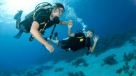 How to Dive with an Insta-Buddy You’ve just been paired with a new buddy. Here’s what — and how — to ask them to make sure the dive goes off without a hitch. When you’ve been paired with a buddy […]