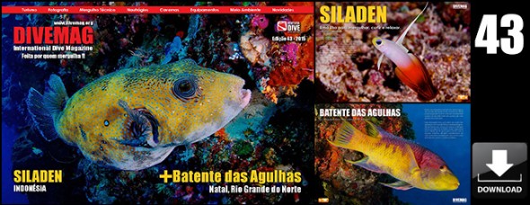 Kadu Pinheiro