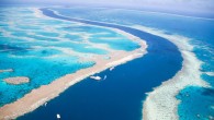 The Great Barrier Reef — which is located in the Coral Sea, off the coast of Queensland, Australia — is considered one of the seven natural wonders of the world. Scientists are worried about its future. Here are seven reasons […]