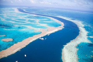 The Great Barrier Reef — which is located in the