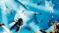 Most people find that the best things in life are even better when shared with someone. So it is with diving. While we firmly believe all divers should be able to take care of themselves in and out of the […]