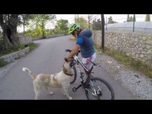 Dağ Bisikleti ile Bitez Arka Sokakları