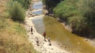 Polatlı’da tarımsal üretimin hayat damarı olan Sakarya Nehri, bilinçsiz ve aşırı sulama sebebiyle yine kurudu. Polatlı sınırları içinde 130 bin dekarlık tarımsal alanın sulanmasını sağlayan Sakarya Nehri, yazın aşırı sıcak günlerinde yine kurudu. Nehir yatağında binlerce balık öldü. Tarlalar sulanamaz […]