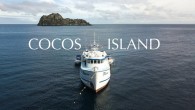 Cocos Island is an island protected as a national park more than 300 nautical miles from the Pacific Coast of Costa Rica. This isolation and protection is the perfect recipe for epic diving, as hammerhead sharks, massive rays, whiteip sharks […]