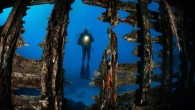 RULE #1: Good Overall Fitness Several studies have indicated that 20 to 35 percent of all scuba fatalities result from heart/circulatory problems. Prior lifestyle and medical conditions set the stage, while the mental and physical stresses of diving trigger the […]