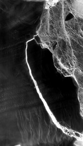 NASA, Antarktika’daki Larsen C buz sahanlığından kopan 5 bin 801
